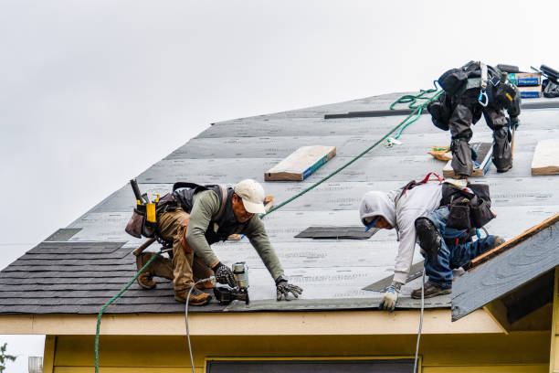 Professional Storm Damage Roof Repair technician working in Paige, TX